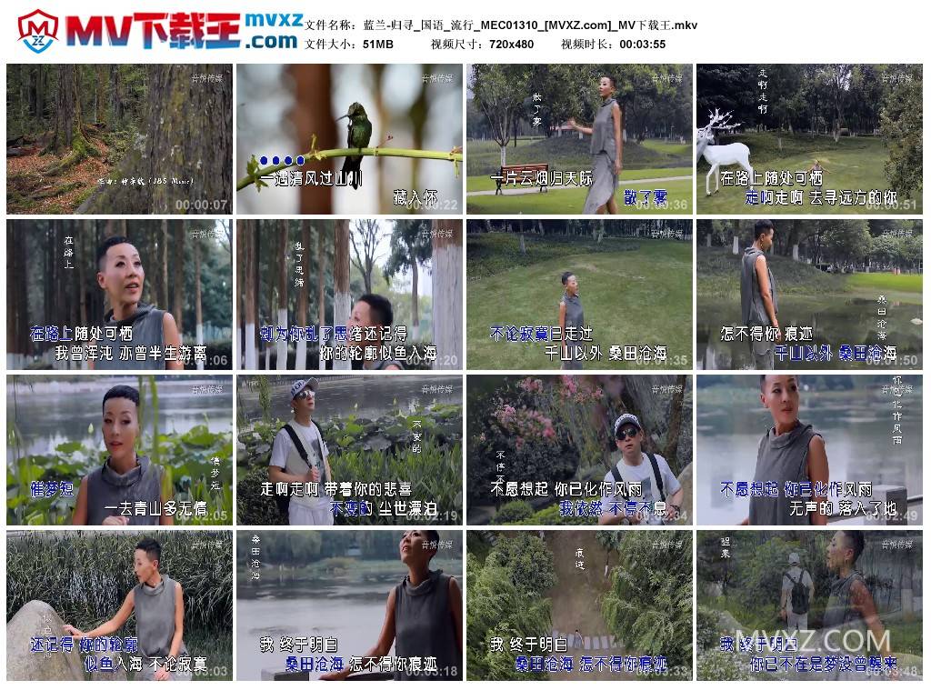 蓝兰-归寻_国语_流行_MEC01310